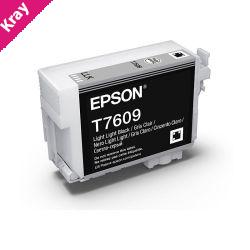 Epson 760 Lgt Lgt Blk Ink Cart