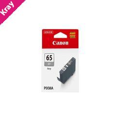 Canon CLI65 Grey Ink Tank